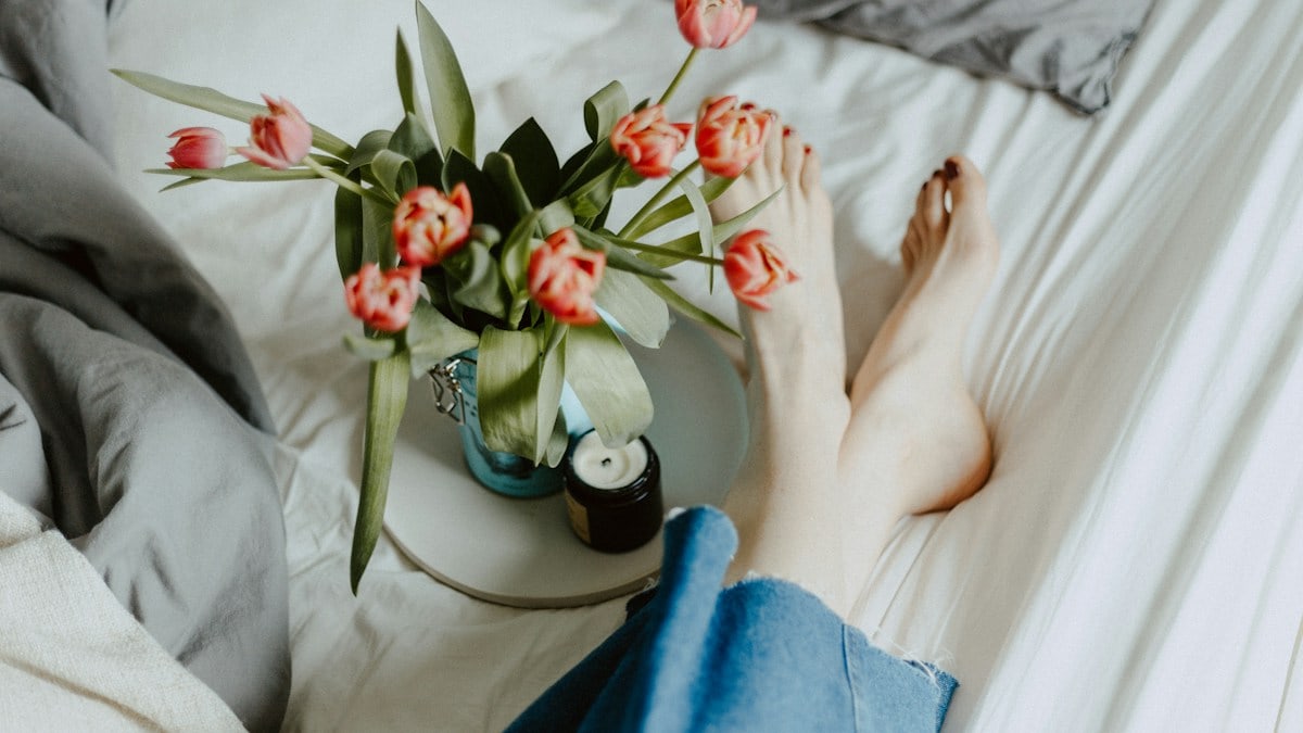 pink tulip flowers